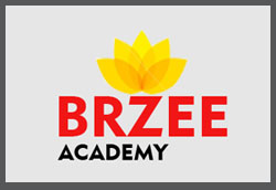 BRZEE Academy